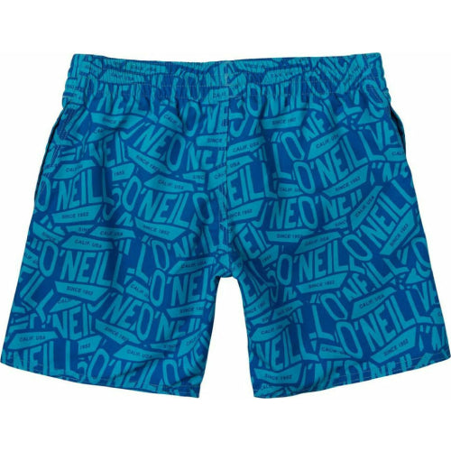 Boys Stickerprint Aquashorts