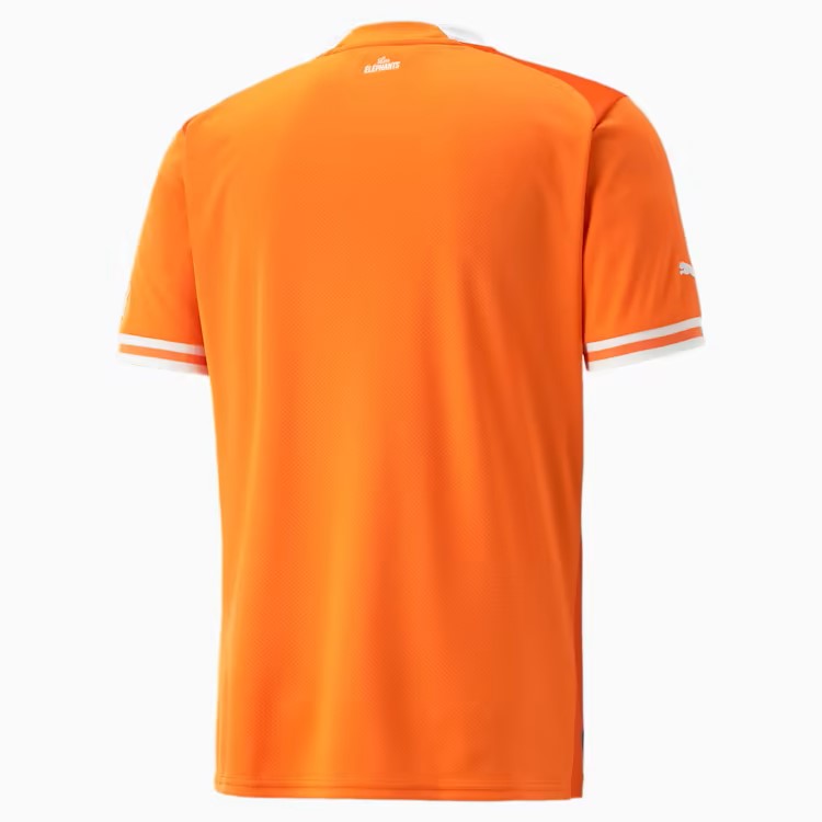 Mens Ivory Coast FIF Home Replica Jersey