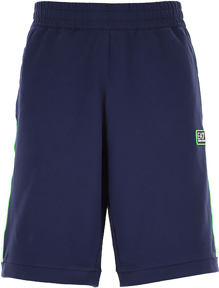 Mens Train Logo Series Big Eagle Bermuda Short