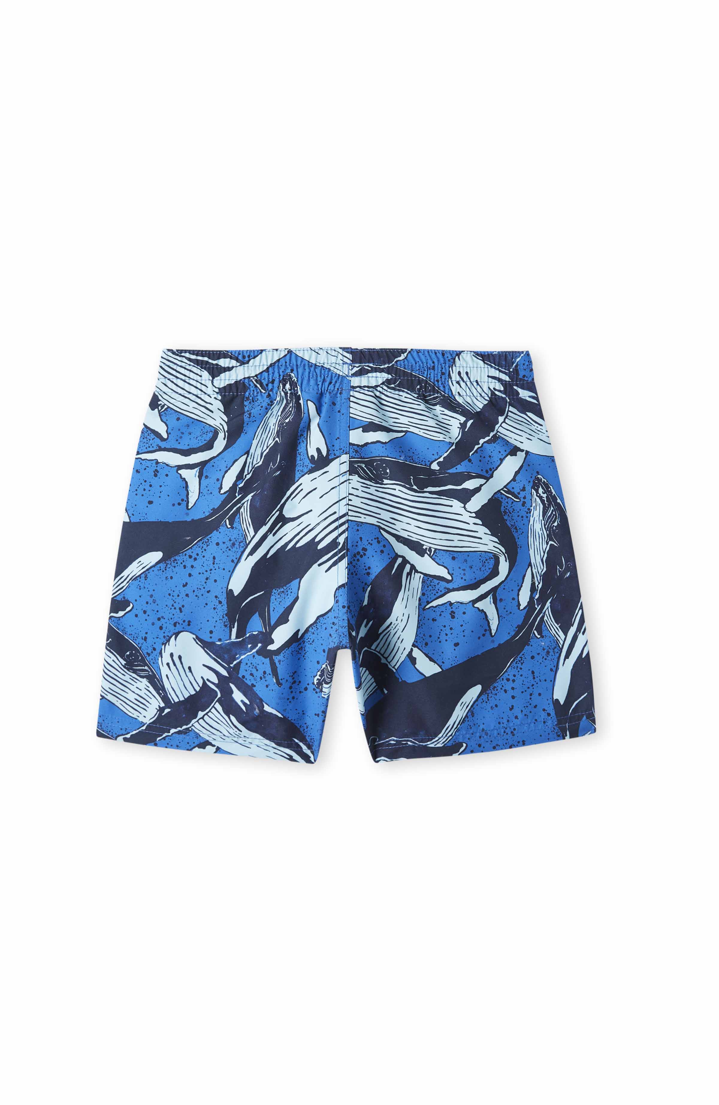 Boys Cali Printed Water Shorts