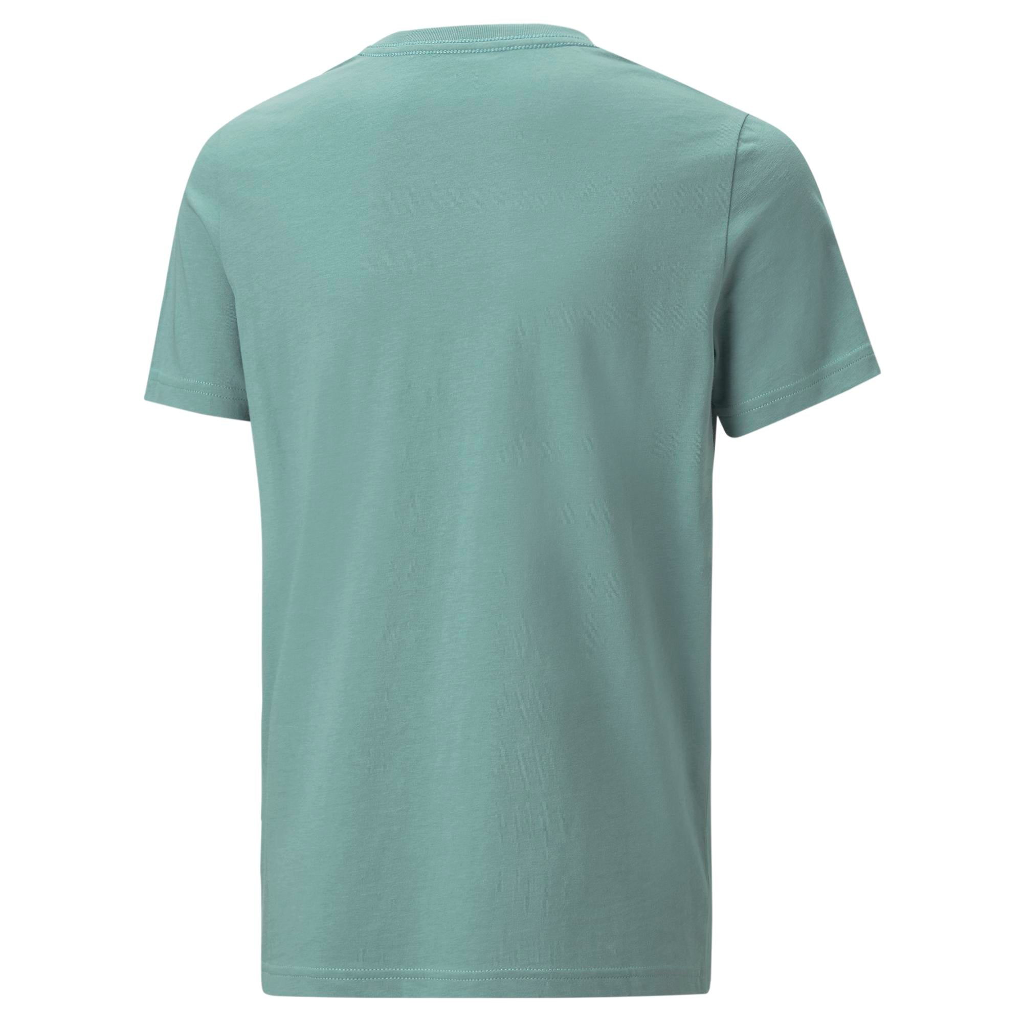 Boys Essential Logo Short Sleeve T-Shirt