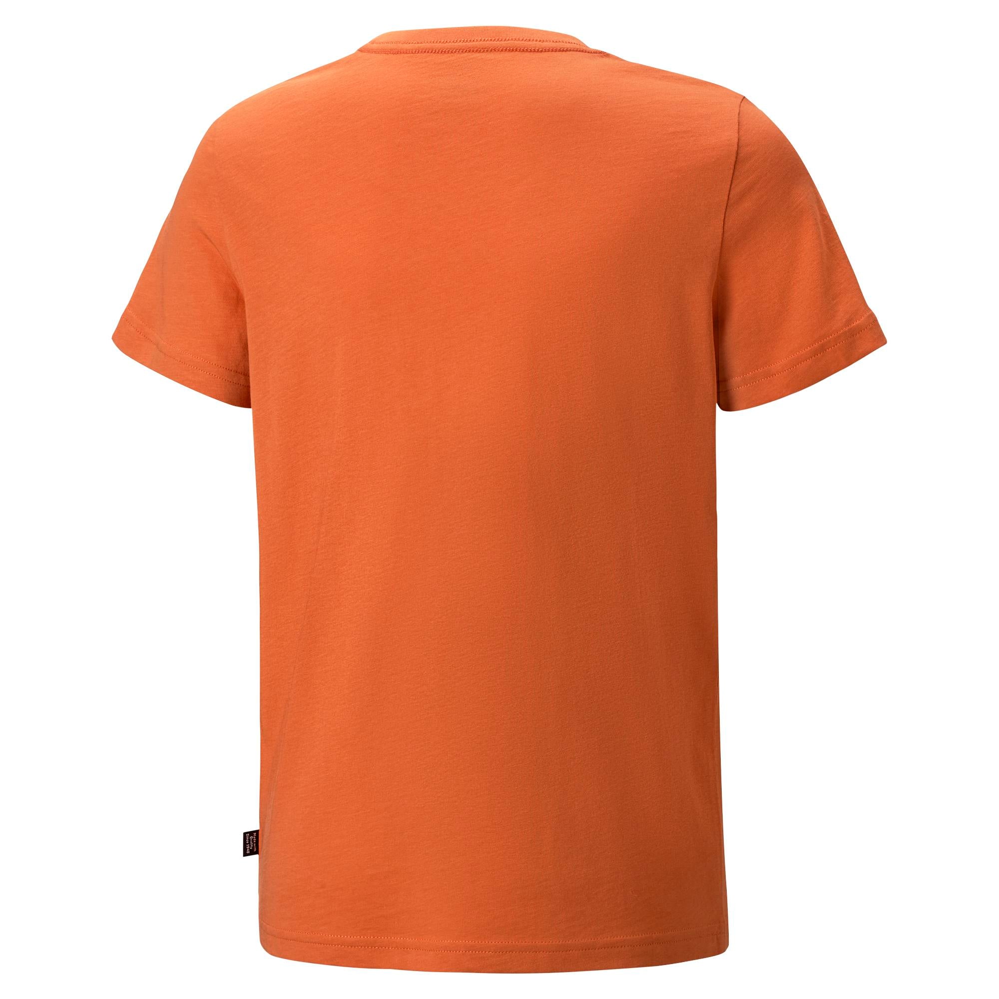 Boys Essential Logo Short Sleeve T-Shirt