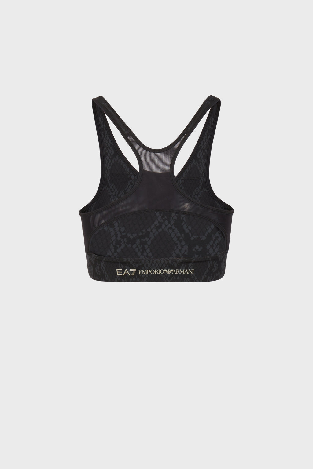 Womens Ventus High Impact Sports Bra