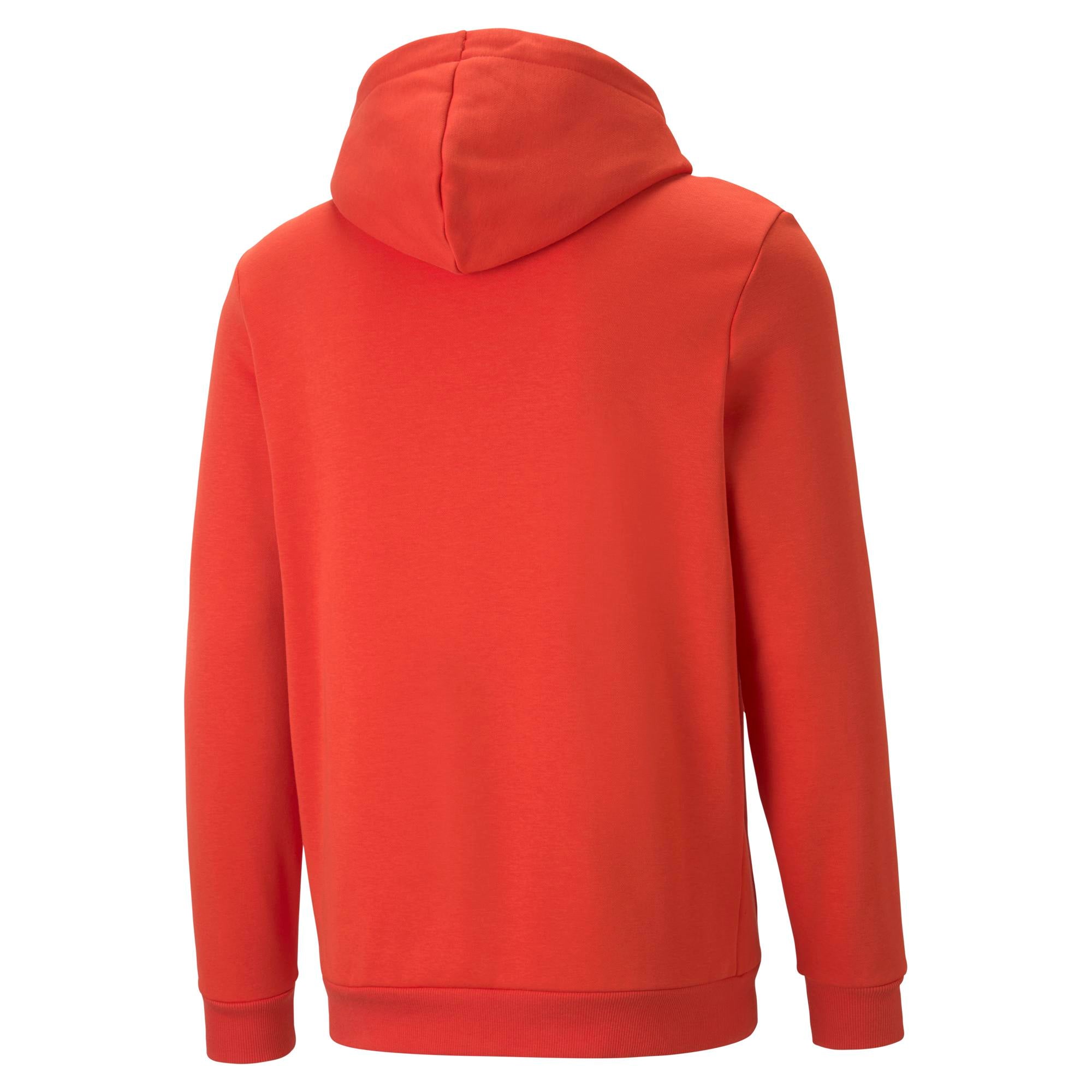ESS+ Big Logo Hoodie FL