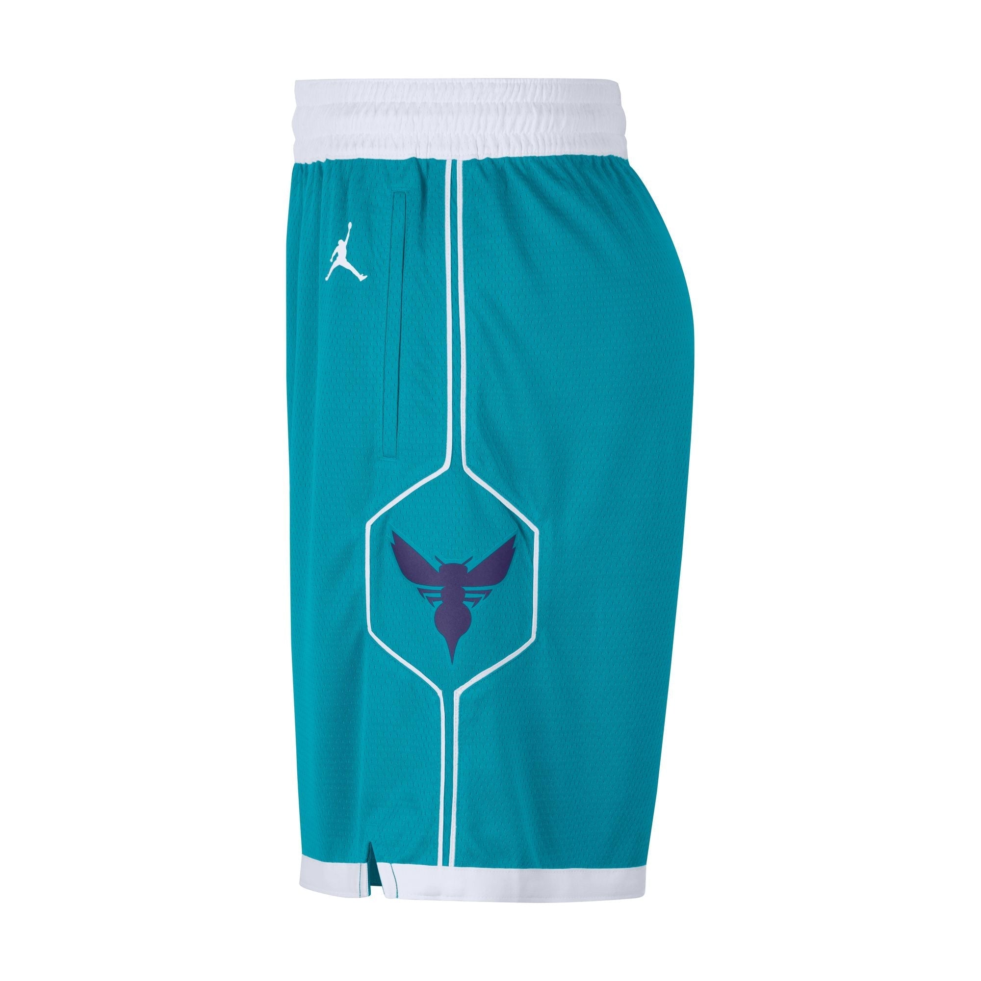 Mens Charlotte Hornets Icon Swingman Shorts