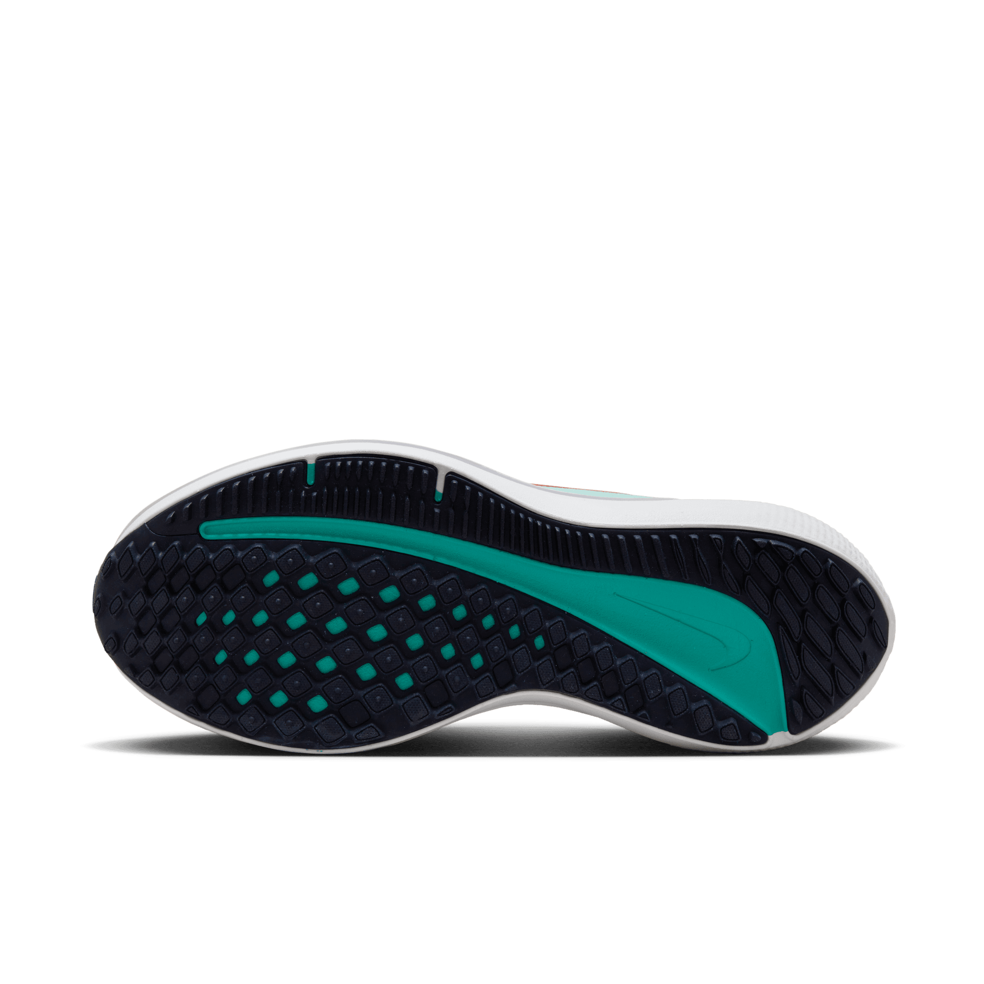 Womens Air Winflo 10 Running Shoe