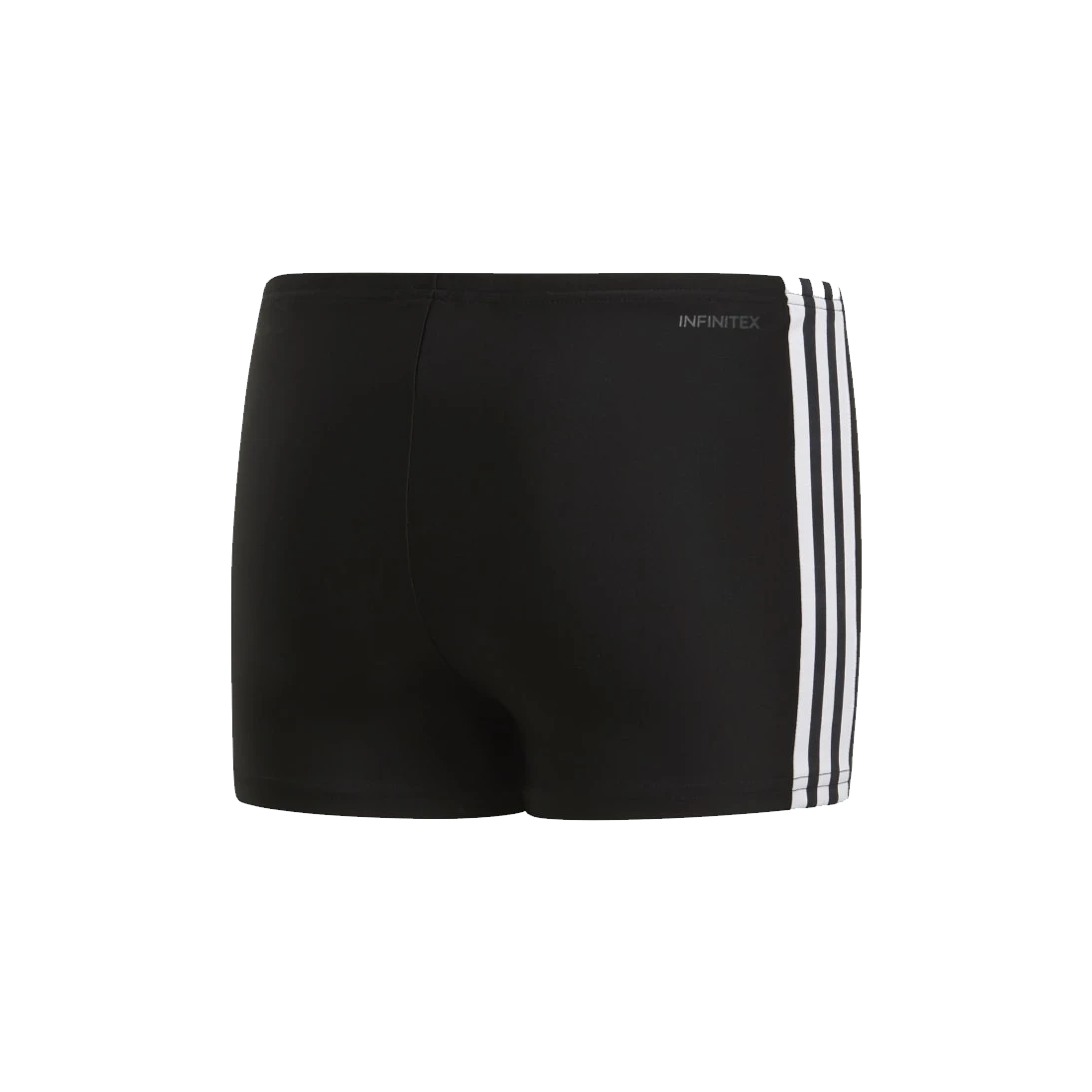 Boys 3 Stripes Aquashorts