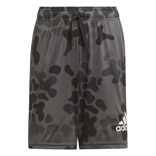 Boys Camo Graphic Regular Fit Shorts