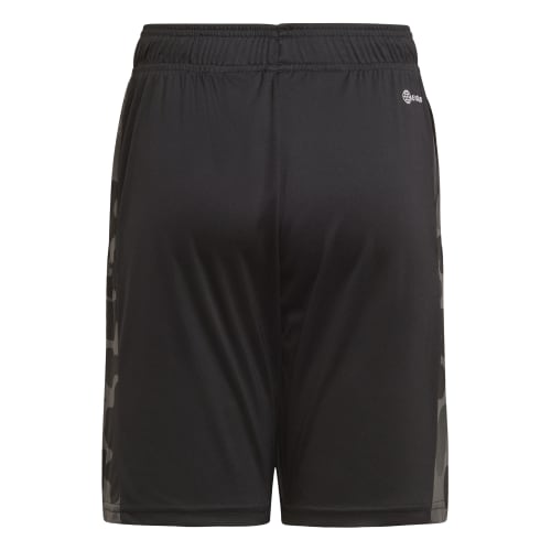 Boys Camo Graphic Regular Fit Shorts
