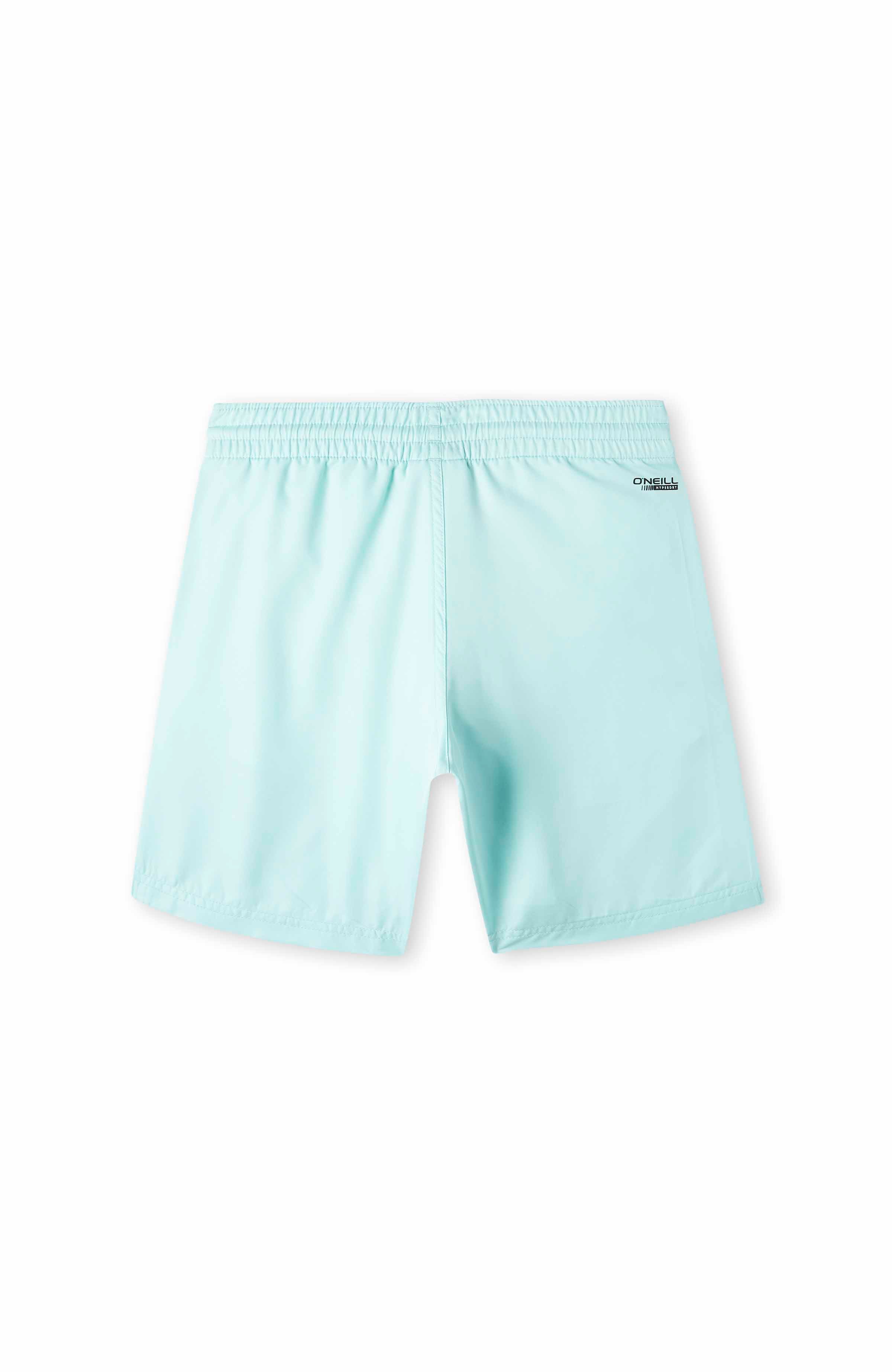 Boys Original Cali Water Shorts