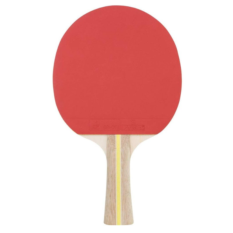 Sonic Table Tennis Bat Set